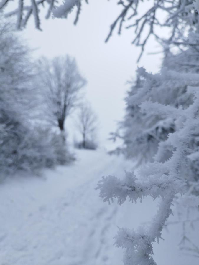 Penzion U Zpevaku Nove Hutě Bagian luar foto